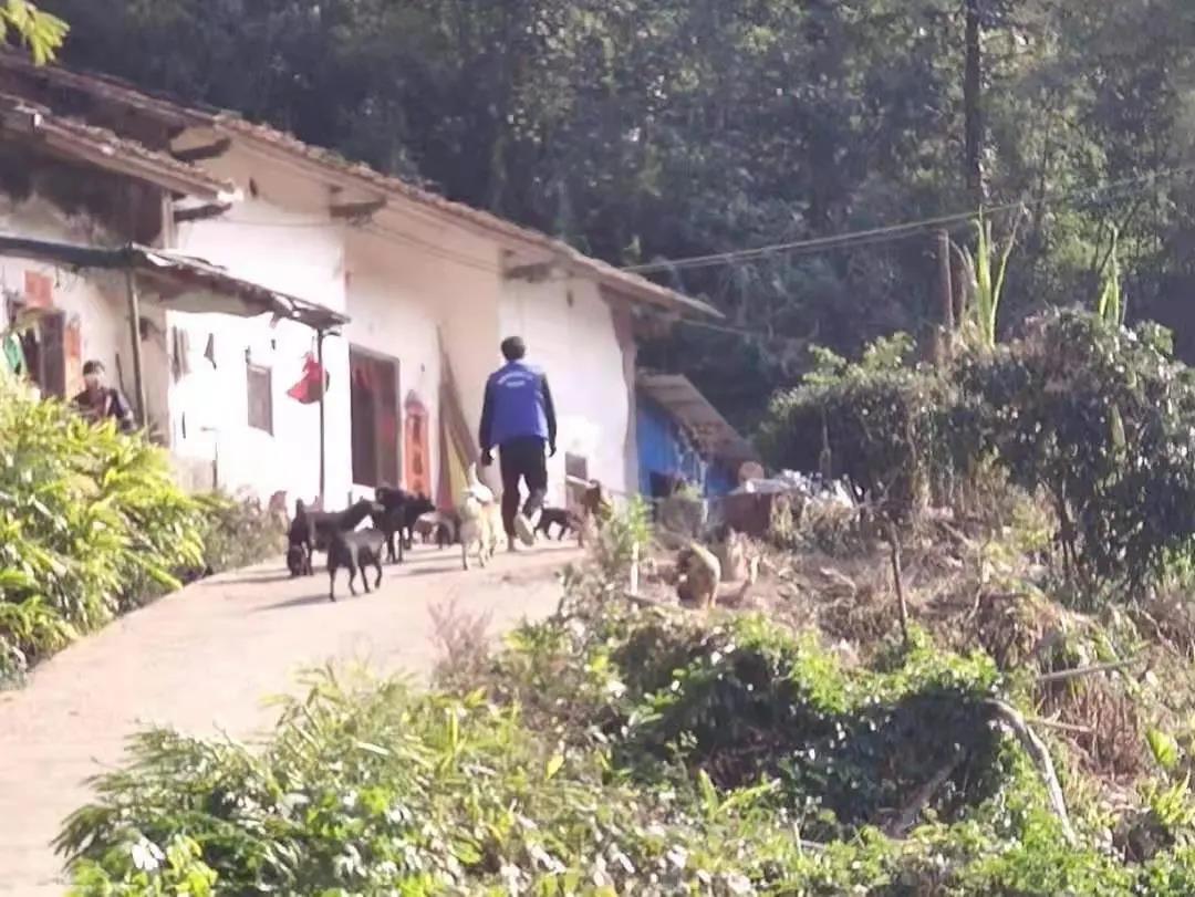 阳春房地一体项目纪实丨无悔青春多砥砺，最是奋斗动人心
