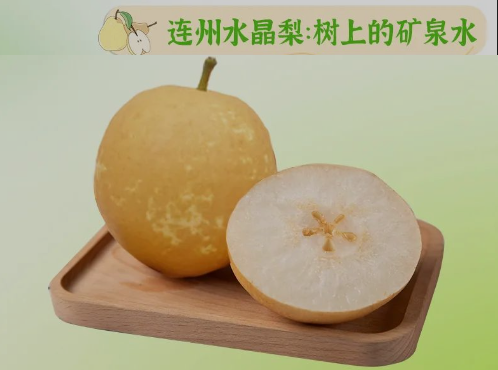 “桃李”炎暑，清冷一夏