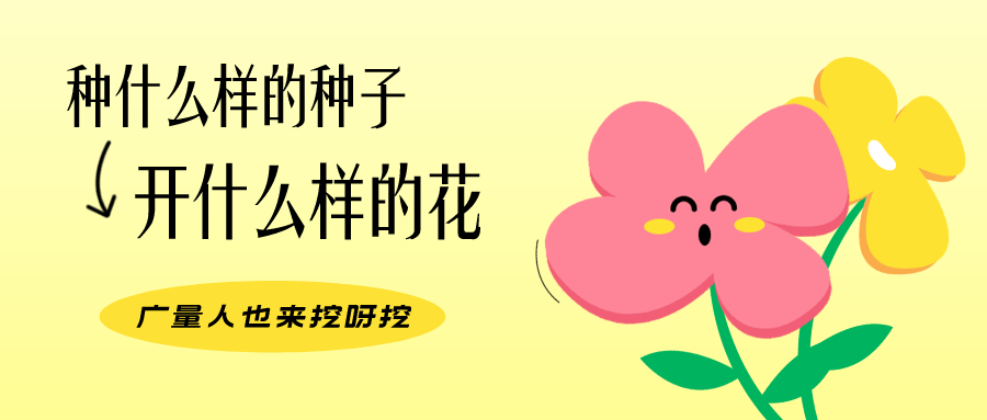 量圈儿NO.104丨广量人的幼幼花圃，挖到宝了！