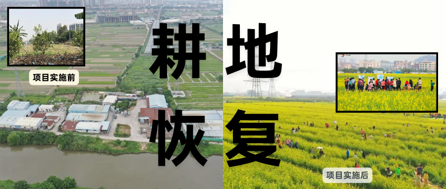 耕地；び刖梅⒄构踩凇褐惺泻窠终蛩谏缜读继锵钅扛馗丛氤窍缛诤系拇葱率导