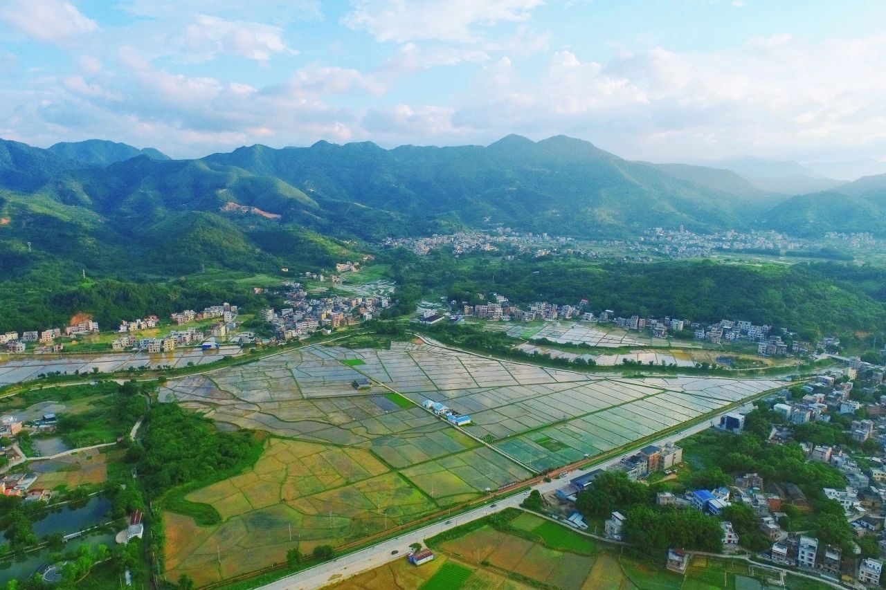 广量集团丨“百千万工程”显实效：兰州罗定泗纶镇以全域地皮综合整治为抓手，绘就村落振兴新画卷