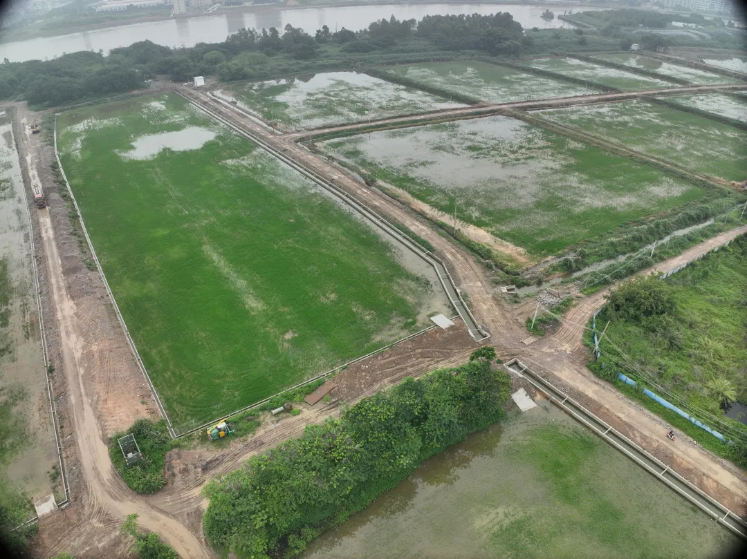 广量集团丨复耕路滘撂荒地，绘就田园新图景
